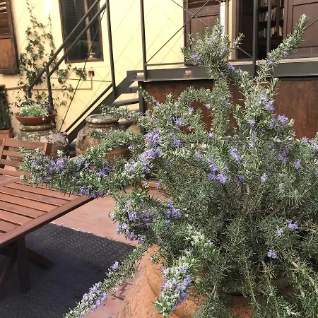 Apartment The Terrace In Santa Croce Florence